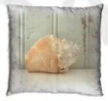 Cushion, Trumpet Shell