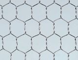 Hot-Dipped Galvanized Hexagonal Wire Mesh