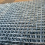 Electro Hot Galvanize PVC Coated Welded Wire Mesh/Welded Wire Mesh/Hot Sale Welded Wire Mesh