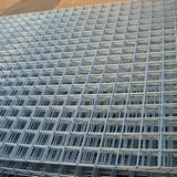 Electro Hot Galvanize PVC Coated Welded Wire Mesh/Welded Wire Mesh/Hot Sale Welded Wire Mesh