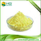 Factory Supply Ginger Extract Powder Herb Extarct