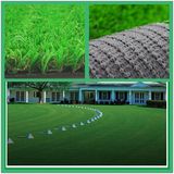 Synthetic Turf for Garden (MHK-B30N17EM)