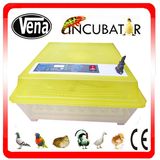 Hatching 48 Eggs Transparent Cheap Fully Automatic Eggincubator