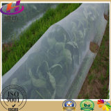 HDPE Transparent Agricultural Anti-Insect Net