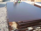 4X8 Feet Brown /Blackfilm Faced Plywood Using in Construction