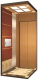 Yuanda Small Elevator for Home Passenger Elevator