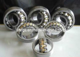 2013 The New Self Aligning Ball Bearing (2209)