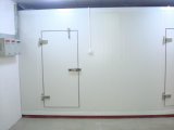 Customizing Cold Storage Room for Frozen Food