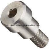 Precision Stainless Steel Hex Socket Shoulder Bolt, Bolt and Nut