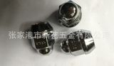 Automobile Wheel Nuts