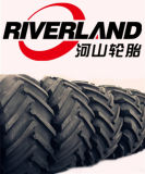 Riverland OTR Tyre, 26.5