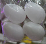 White Plastic Easter Egg (E2013041312)