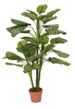 Artificial Plants and Flowers of Calathea 36lvs 3 Trunks 120cm