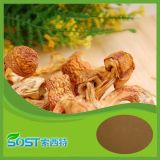Agaricus Blazei Murill Extract with High Quality and Best Price