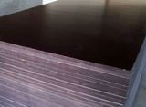 18mm Building Materials First Grade Film Faced Plywood (w16004)