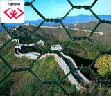 Hexagonal Wire Mesh Netting (TYH)