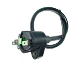 Ignition Coil (DQ-G008)