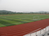 Artificial Turf for Soccer Pitch