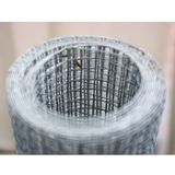 Galvanized Welded Wire Mesh 2''*2''