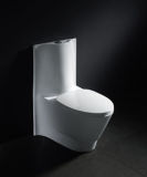 S-Trap Toilet (Z2060371)