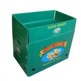 Corrugated Cardboard Box of High Level Quality