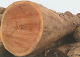Timber
