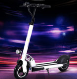 Aluminum Electric Scooter/Electric Vehicle/Electric Motor/Electric Mini Motor