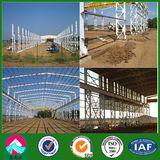 Prefab Light Steel Frame Workshop Building (XGZ-SSB126)