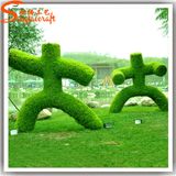 Factory Direct Garden Evergreen Ornamental Topiary Plants