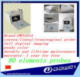 Ultrasound Equipment with USB Port