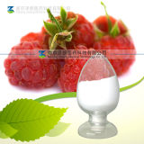Raspberry Extract /Anthocyanin/Raspberry Ketone