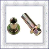Motorcycle Nuts