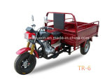 Gasoline Cargo Tricycle with 150cc (TR-6)