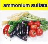 Ammonium Sulphate Nitrate Fertilizer