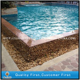 Nautral 3-5cm Yellow Pebble Stone for Swimming Pool Surrounding