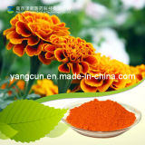 Plant Extract Lutein CAS: 127-40-2