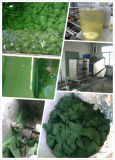 Techase Multi Plate Screw Press for Algae Sludge Dewatering Screw Press