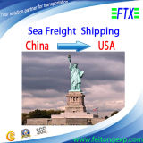 Sea Cargo From Shenzhen/Shanghai/Guangzhou to Austin USA