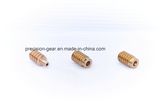 Brass Worm & Worm Shaft, Precision Worm