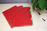 160GSM A4 Size Color Paper Index Tab File Divider