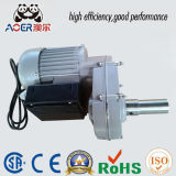 Single Phase 220volt AC Small Gear Electric Motors