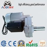 Single Phase 220volt AC Small Gear Electric Motors