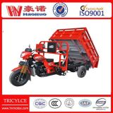 Tricycle-Hn250zh-a