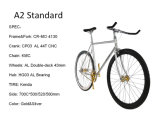 A2 Standard Fixed Gear Road Bicycle