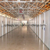 Qingdao Hapy Steel Frame Poultry Cage Designer and Manufacturer for One Stop