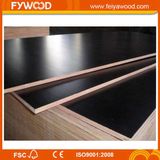 WBP Glue Film Faced Plywood Black Color Film Plywood