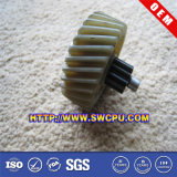 Plastic Spiral Helical Gear
