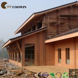 WPC Wood Plastic Composite Exterior Wall Decoration