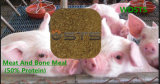 Hot Sale Meat and Bone Meal for Chciken Feed Animal Feed