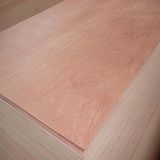 Hot Sale Commercial Plywood